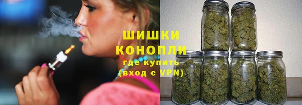 PSILOCYBIN Алзамай