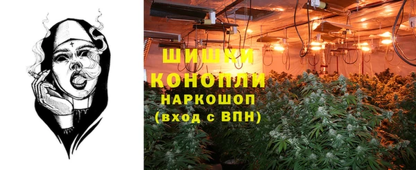 PSILOCYBIN Алзамай