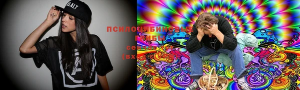 PSILOCYBIN Алзамай