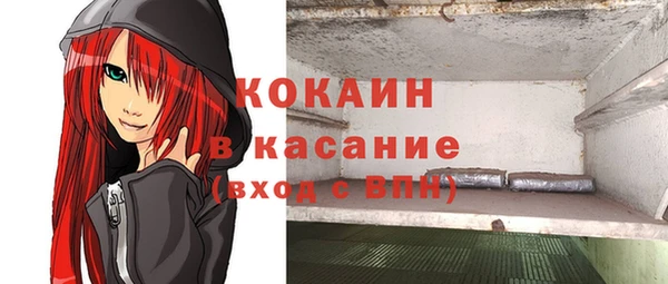 apvp Алексин